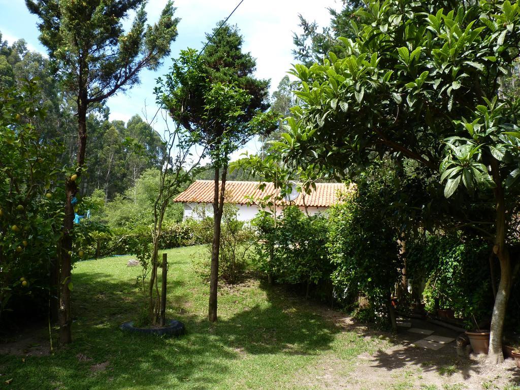 Castelo Do Neiva Casa Da Azenha Branca 빌라 외부 사진